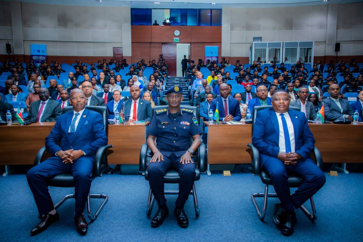 csm WhatsApp Image 2025 01 27 at 14.36.48 5beca55f cbe3a1f775